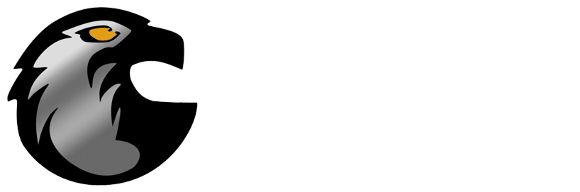 Security Services logo